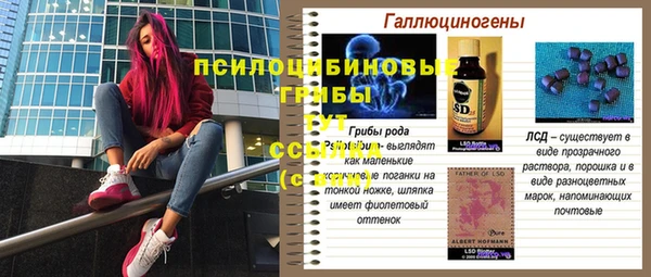 прущая мука Касимов