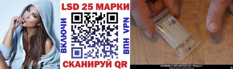 Наркотические марки 1500мкг  Купить  Гусев 
