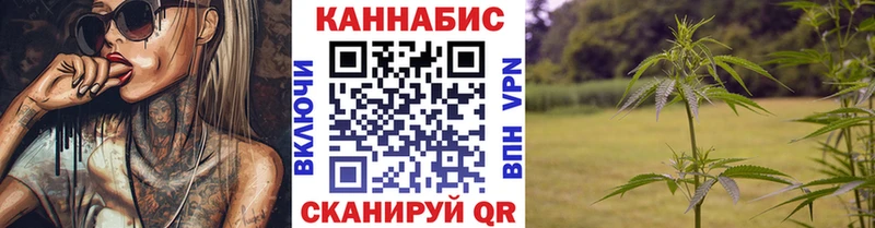 Марихуана план  Купить где  Гусев 